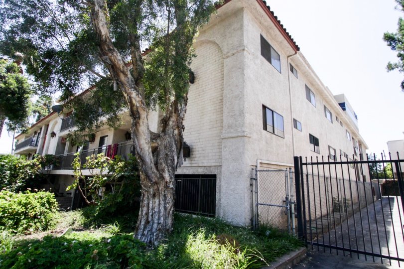 Tilden Manor Sherman Oaks CA